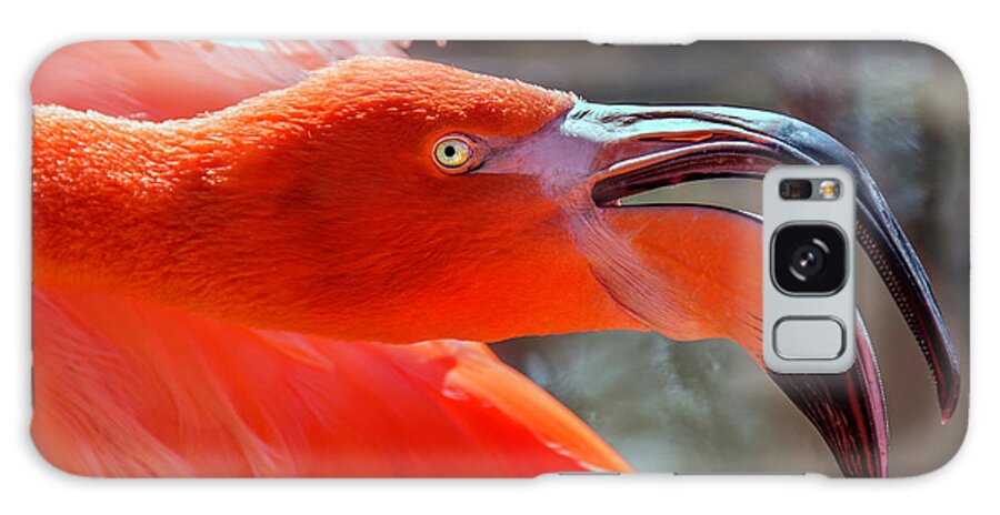 Flamingo Galaxy Case featuring the photograph Pink Flamingo by WAZgriffin Digital