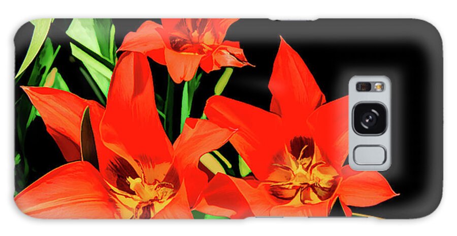 Day Lilies Galaxy Case featuring the photograph Floral Fantasy in Red by Marcy Wielfaert