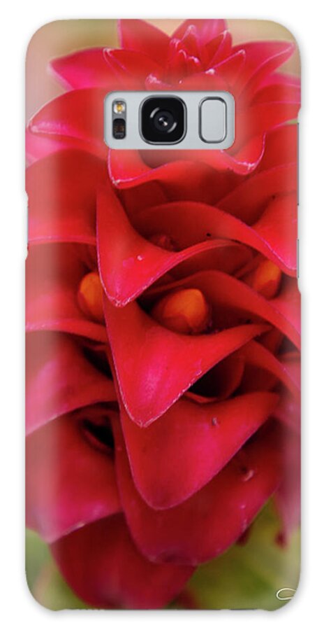 Hawaii Galaxy Case featuring the photograph Flower 1 by T Phillip Spencer