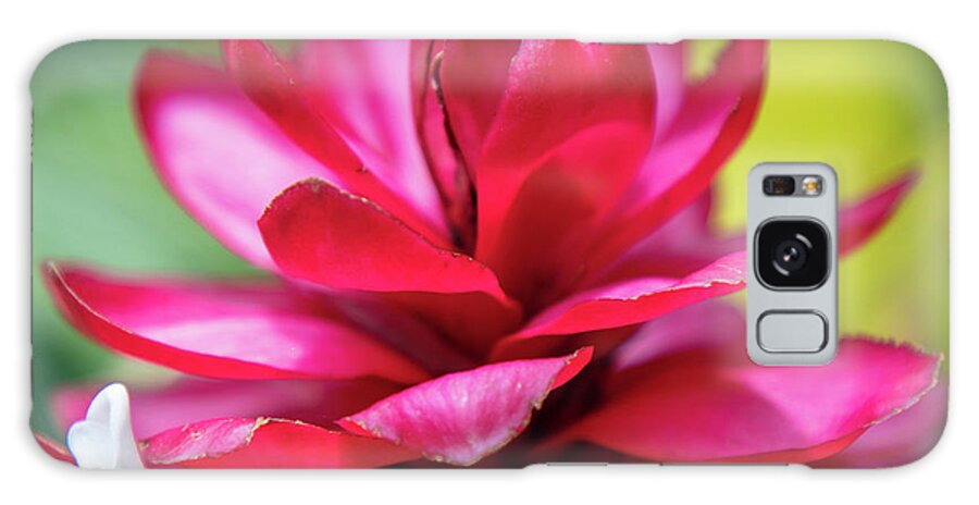 Hawaii Galaxy Case featuring the photograph Flower in Flower by T Phillip Spencer
