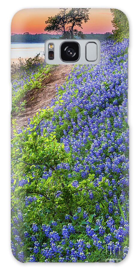 America Galaxy Case featuring the photograph Flower Mound by Inge Johnsson