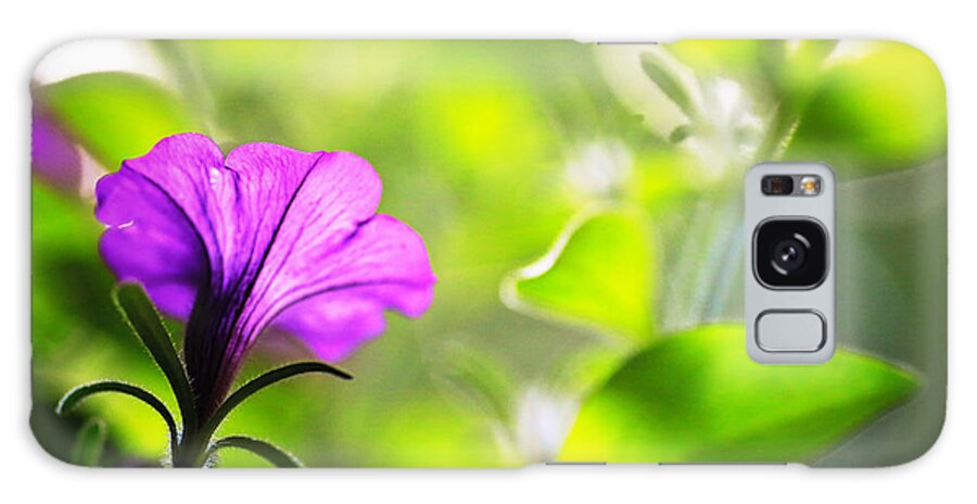 Purple Galaxy Case featuring the photograph Flower Through Sunlight by Carol Jorgensen