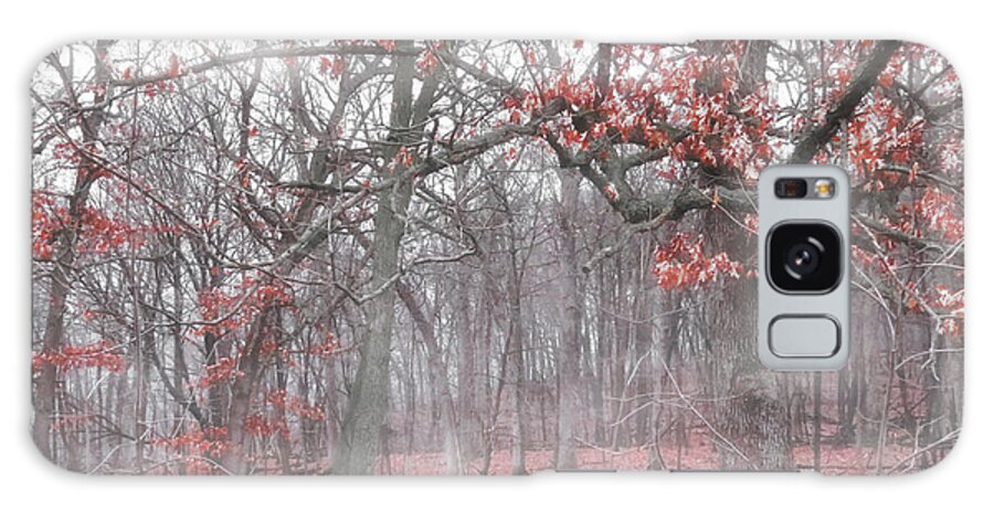Fog Galaxy Case featuring the photograph Foggy Cold Morning by Denise Winship