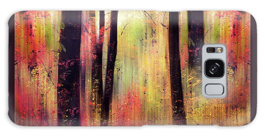 Forest Galaxy Case featuring the photograph Forest Frolic by Jessica Jenney