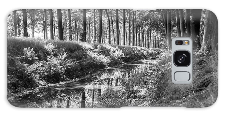 Black&white Galaxy Case featuring the photograph Forest by MPhotographer