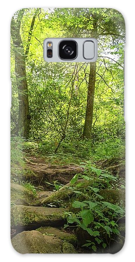 Forest Pathway Galaxy Case featuring the photograph Forest by Rebecca Herranen