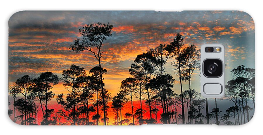 Sunset Galaxy Case featuring the photograph Forrest Sunset by Montez Kerr