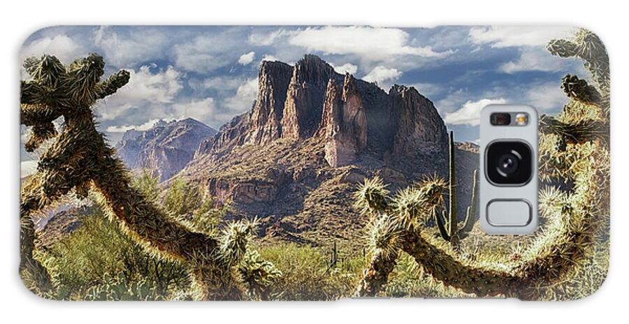 American Southwest Galaxy Case featuring the photograph Framed by Cholla by Rick Furmanek