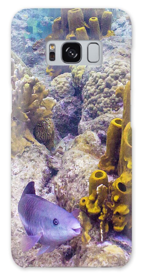 Ocean Galaxy Case featuring the photograph Friendly Queen by Lynne Browne