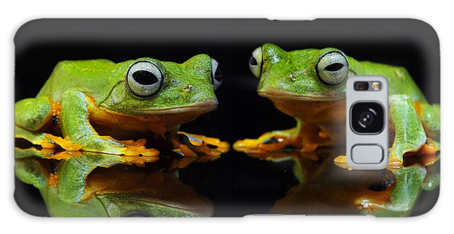 Frogs Galaxy Case featuring the photograph Frogs In the Dark by World Art Collective
