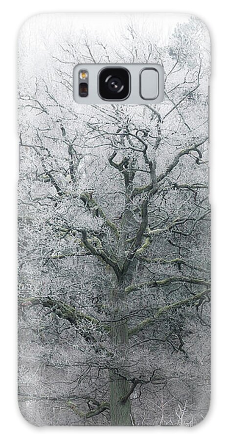 Winter Galaxy Case featuring the photograph Frosty Winter Tree by Nicklas Gustafsson