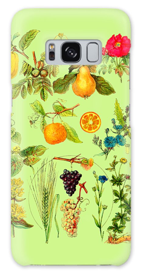 Fruits Galaxy Case featuring the digital art Fruit Garden by Madame Memento