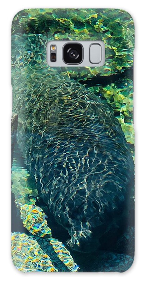 Manatee Blue Spring State Park Florida Galaxy Case featuring the photograph Fun Stuff 3 by John Anderson