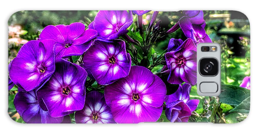 Photo Galaxy Case featuring the photograph Garden Emergence by Anthony M Davis