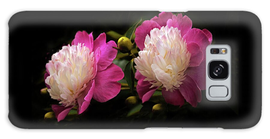 Peony Galaxy Case featuring the photograph Gay Paree Peony by Jessica Jenney