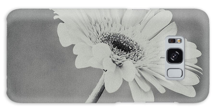 Gerbera Galaxy Case featuring the photograph Gerbera Black And White 2 by Tanya C Smith