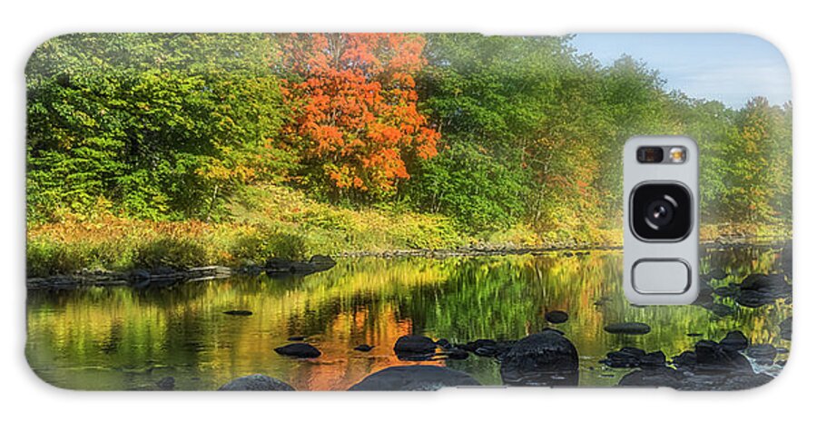Fall Galaxy Case featuring the photograph Ginger by Jerry LoFaro