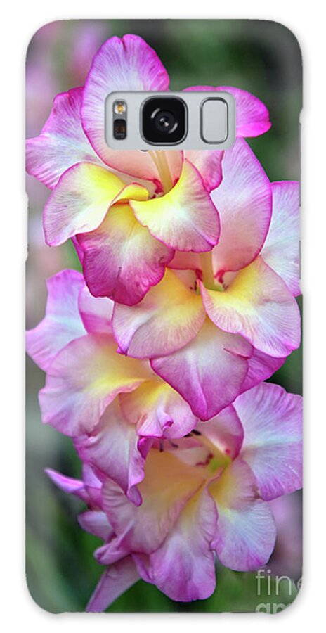 Summer Galaxy Case featuring the photograph Glorious Gladiolus by Amy Dundon