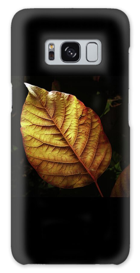Autumn Galaxy Case featuring the photograph Glowing Leaf by Steven Nelson