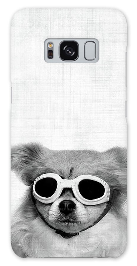 Dog Galaxy Case featuring the photograph Funny dog with goggles by Delphimages Photo Creations