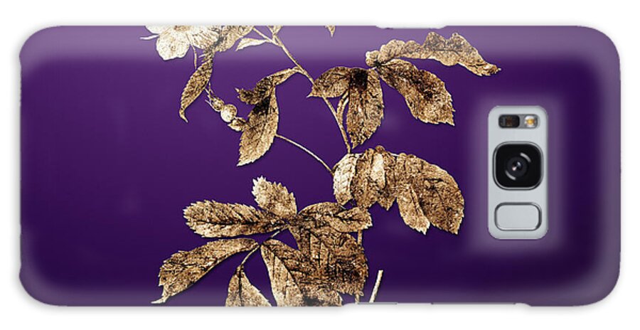 Gold Galaxy Case featuring the painting Gold Pink Alpine Roses on Royal Purple n.02028 by Holy Rock Design