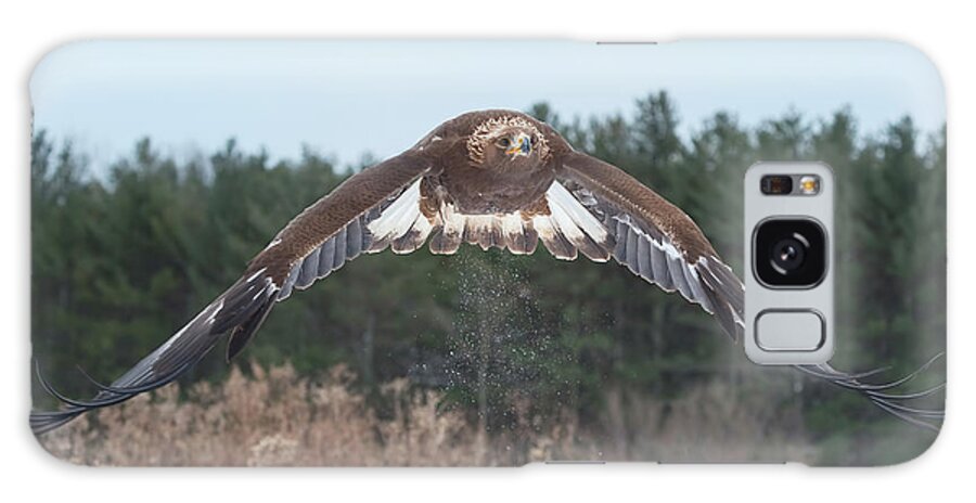Eagle Galaxy Case featuring the photograph Golden Eagle Flying Low by CR Courson
