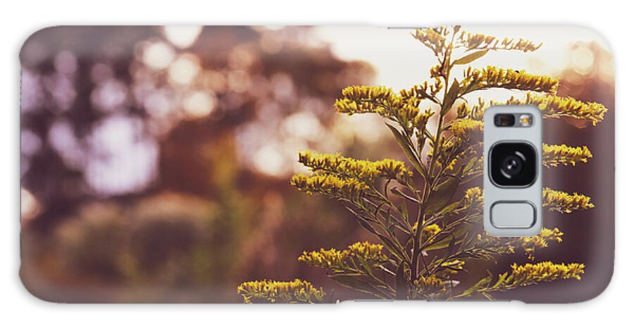 Mountain Galaxy Case featuring the photograph Golden Hour Flower by Go and Flow Photos