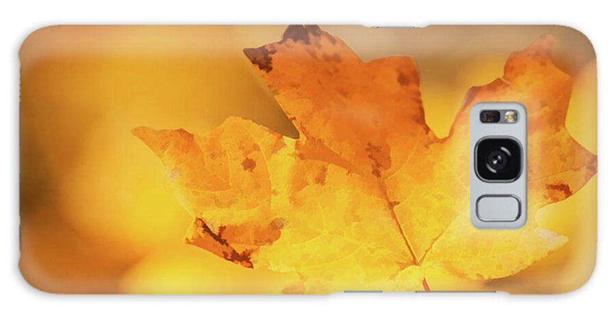 Changing Leaves Galaxy Case featuring the photograph Golden by Linda Shannon Morgan