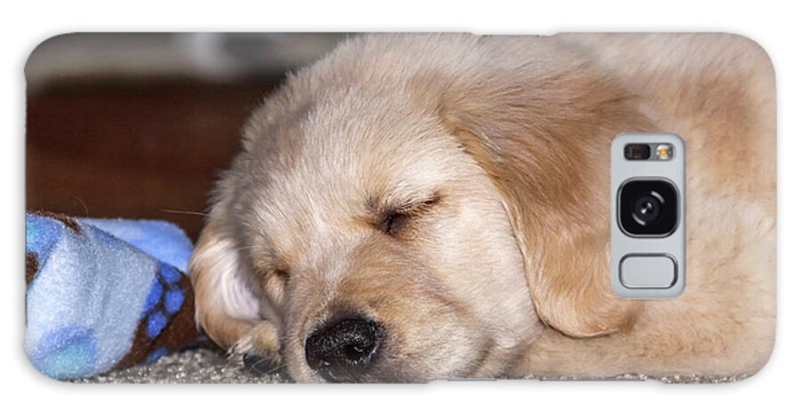 Animal Galaxy Case featuring the photograph Golden Retriever Puppy Sleeping by Dawn Richards