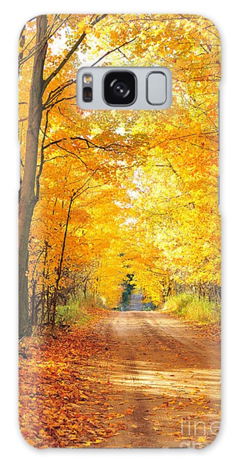 Gold Galaxy Case featuring the photograph Golden Tree Tunnel by Terri Gostola