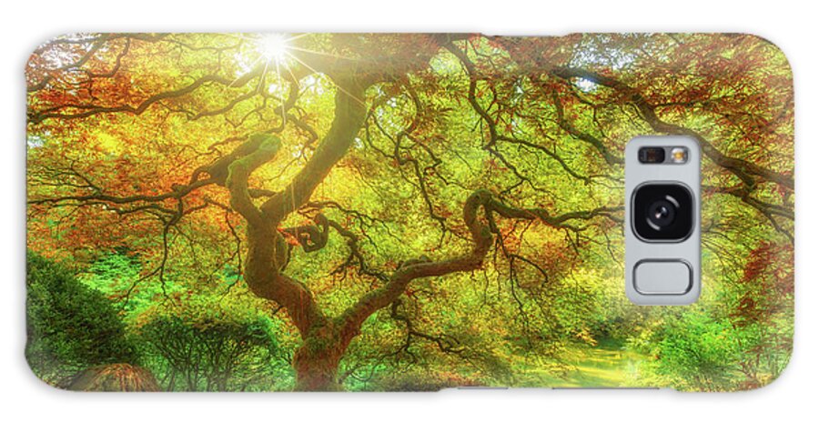 Trees Galaxy Case featuring the photograph Good Morning Sunshine by Darren White