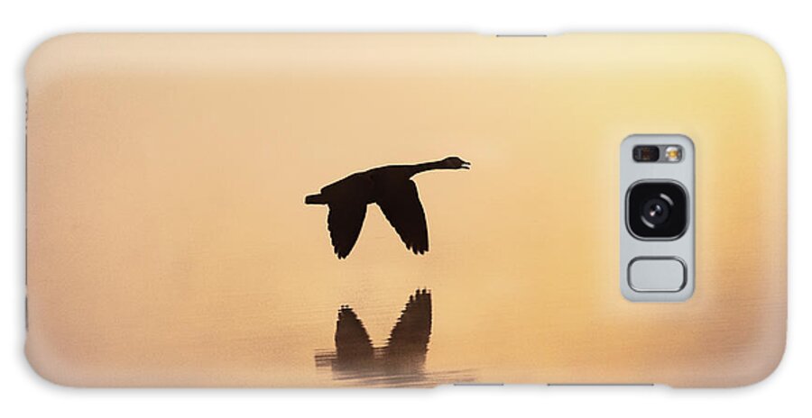 Canadian Goose Galaxy Case featuring the photograph Goose In Flight Among The Mist by Jordan Hill