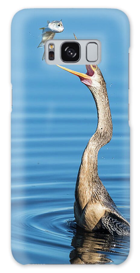 Donnelley Wma Galaxy Case featuring the photograph Gotcha by Jim Miller