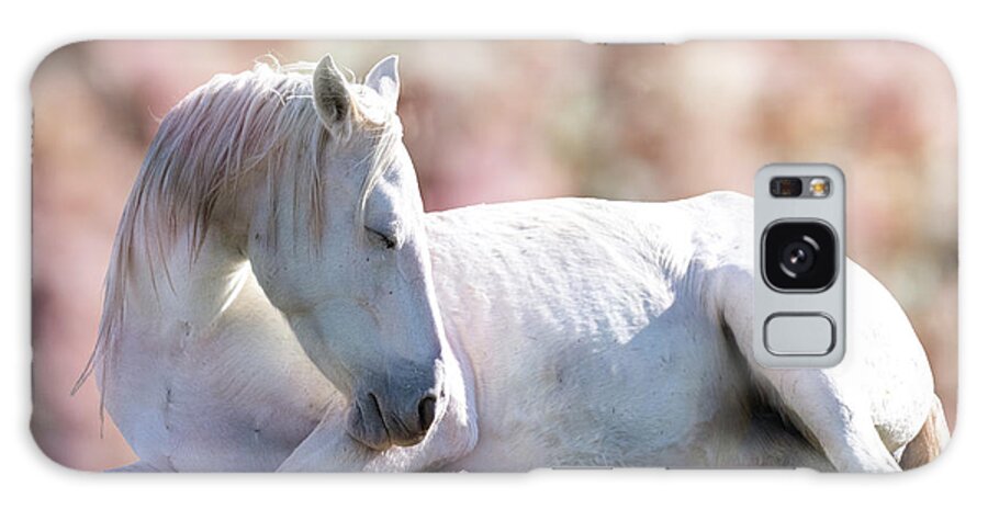 Wild Horses Galaxy Case featuring the photograph Graceful Rest by Mary Hone