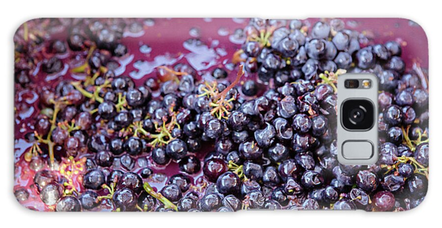 Grape Galaxy Case featuring the photograph Grape Stomp in Wine Country by Carolyn Ann Ryan