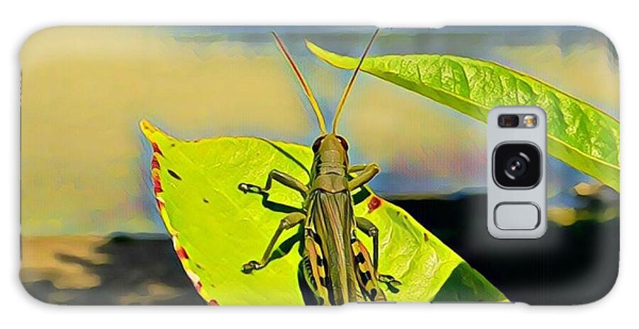 Mississippi River Galaxy Case featuring the painting Grasshopper Sunning by Marilyn Smith