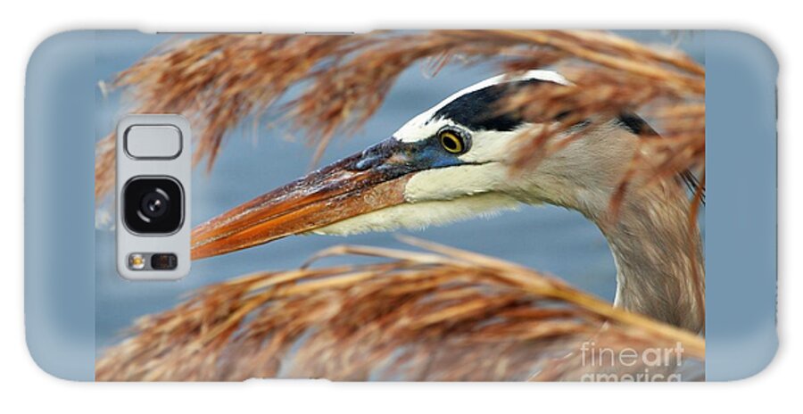 Great Blue Heron Galaxy Case featuring the photograph Great Blue Heron by Joanne Carey