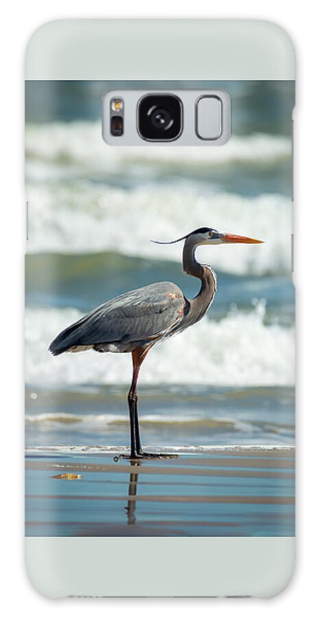 Bird Galaxy Case featuring the photograph Great Blue Heron Profile by Patti Deters