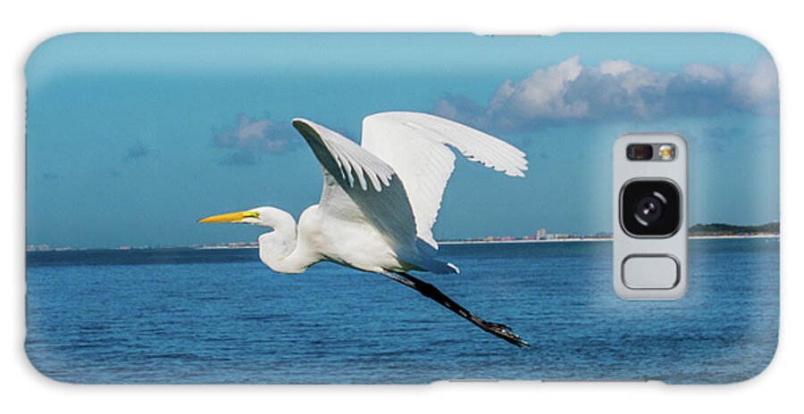 Bird Galaxy Case featuring the photograph Great Egret in Flight by Kevin Fortier