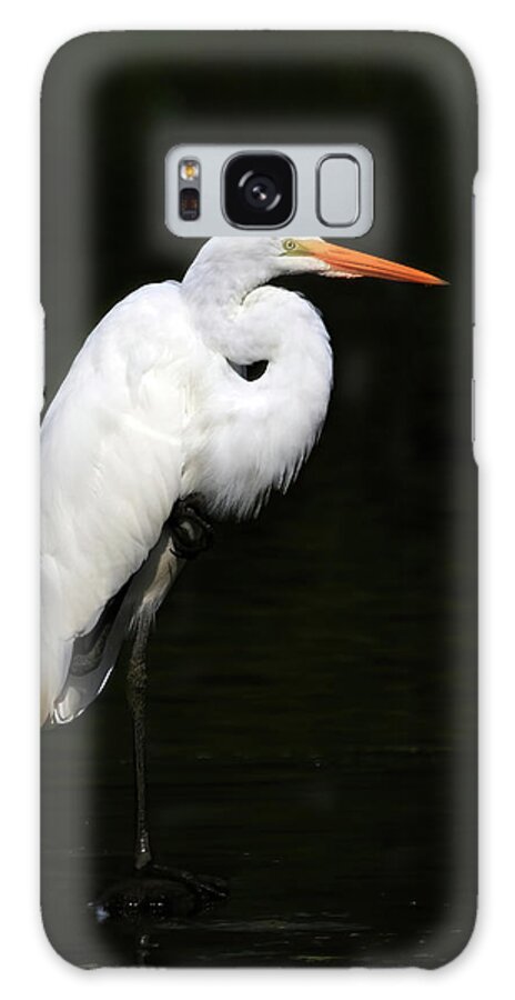 Great Egret Galaxy Case featuring the photograph Great Egret by Shixing Wen
