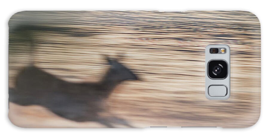Deer Galaxy Case featuring the photograph Great Escape by Puttaswamy Ravishankar