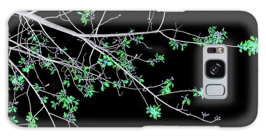 Tree Galaxy Case featuring the photograph Green Flowers on Black by Missy Joy