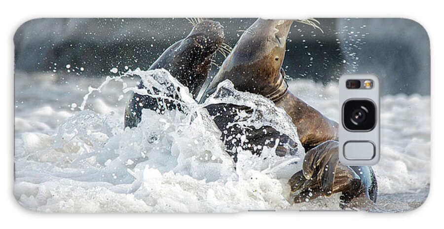 Grey Seals Galaxy Case featuring the photograph Grey Seals splashing about by Gareth Parkes