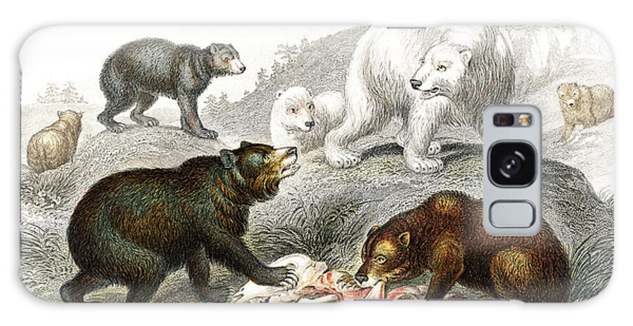 Grisly Galaxy Case featuring the drawing Grisly Bear, European Brown Bear ,American Black Bear, Polar Bear by Oliver Goldsmith