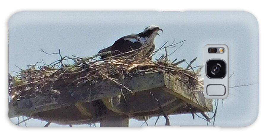 - Guarding The Nest - Osprey Galaxy Case featuring the photograph - Guarding the nest - Osprey Hawk by THERESA Nye