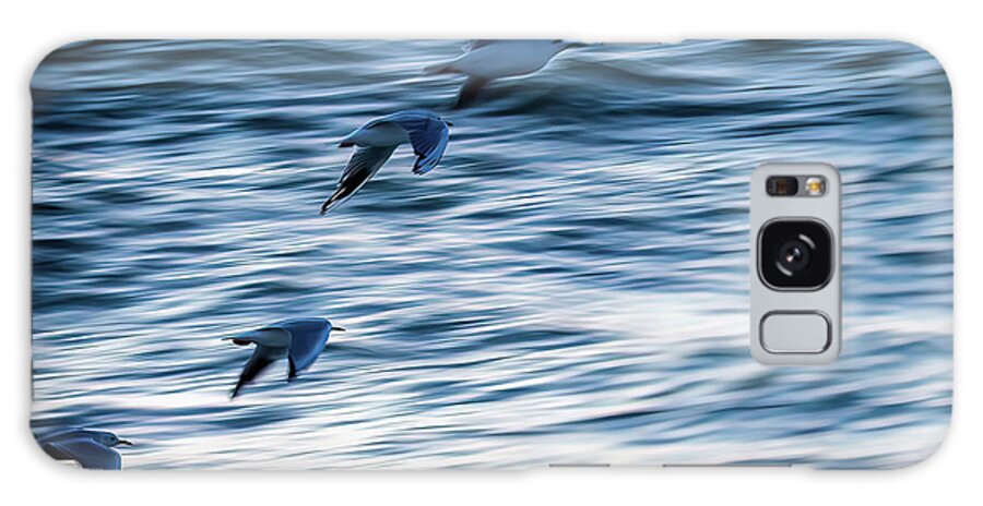Gulls In Flight Galaxy Case featuring the photograph Gull flight by Johannes Brienesse