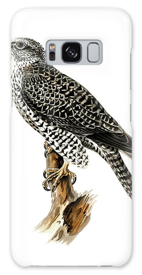 Gyr Falcon Galaxy Case featuring the drawing Gyrfalcon by Von Wright brothers