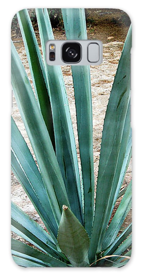 Hacienda Ochil Galaxy Case featuring the photograph Hacienda Ochil Agave by William Scott Koenig