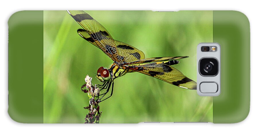 Halloween Pennant Galaxy Case featuring the photograph Halloween Pennant Dragonfly 2 by Joanne Carey