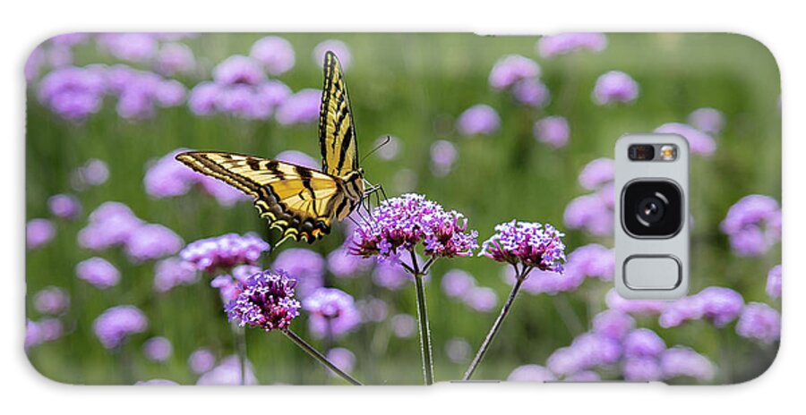 Butterfly Galaxy Case featuring the photograph Happy Butterfly by Gary Geddes